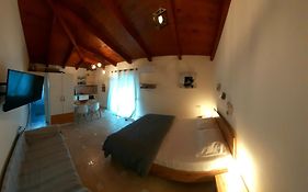 Patra Studio B4